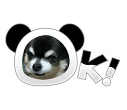 652838735