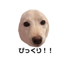652843632