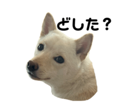 652843633