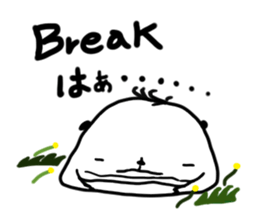 6528447