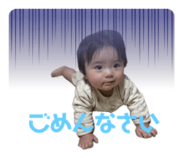 652850685