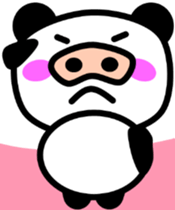 6528557