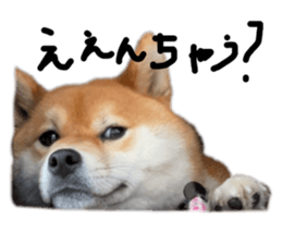 652869727