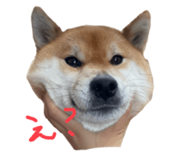 652869732