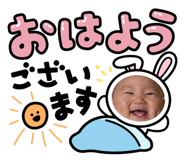 652880637
