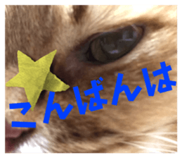 652896442