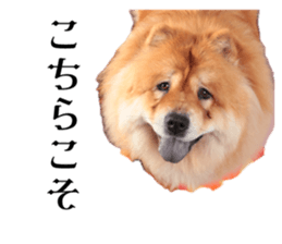 652984554