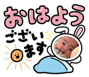 652997537