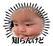 652997538