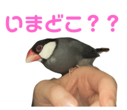 653005577