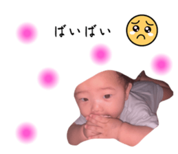 653012336