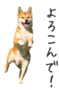653015299