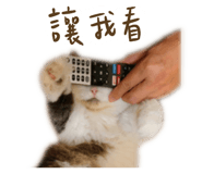653028359