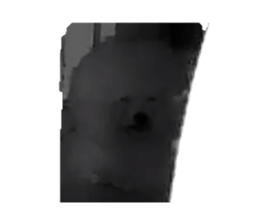 653049216