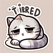 653066066