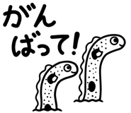 653069608