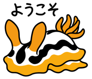 653069614