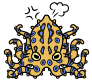 653069626