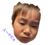 653086767