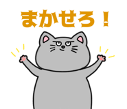 653103776