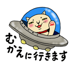6531068