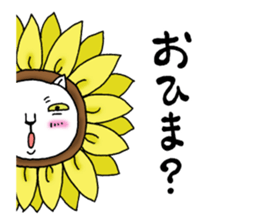 6531080