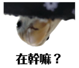 653124842
