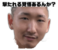 653226481