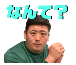 653238020