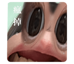 653240870