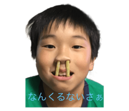 653243376