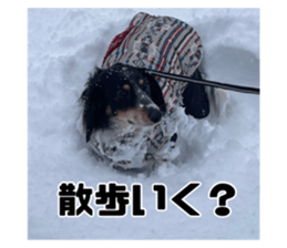 653252816