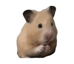 653256607