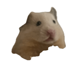 653256610