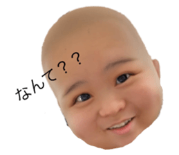 653267216