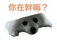 653276463