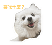 653276465