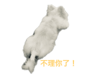 653276466