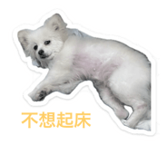 653276467