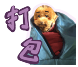 653279113