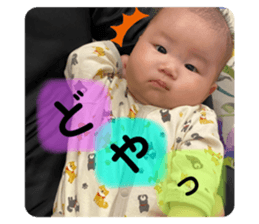 653282637