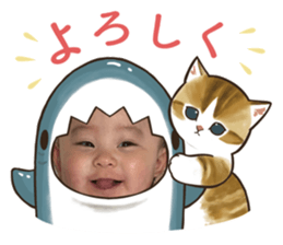 653285312
