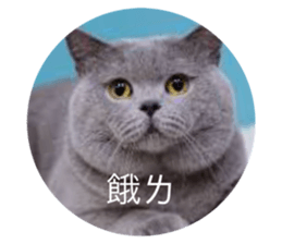 653303720