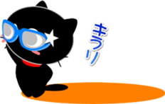 65335020