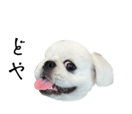 653406725
