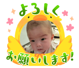 653447664