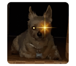 653486853