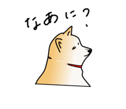 653491589