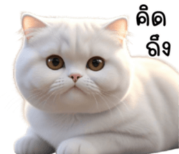 653498723
