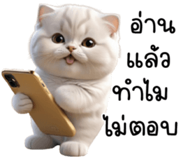 653498724